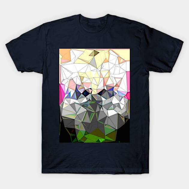 Geometry mess shirt T-Shirt by AnonLepszy